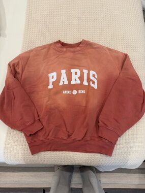 Anine Bing PARIS Crewneck Sweatshirt in Burnt Orange